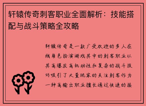 轩辕传奇刺客职业全面解析：技能搭配与战斗策略全攻略
